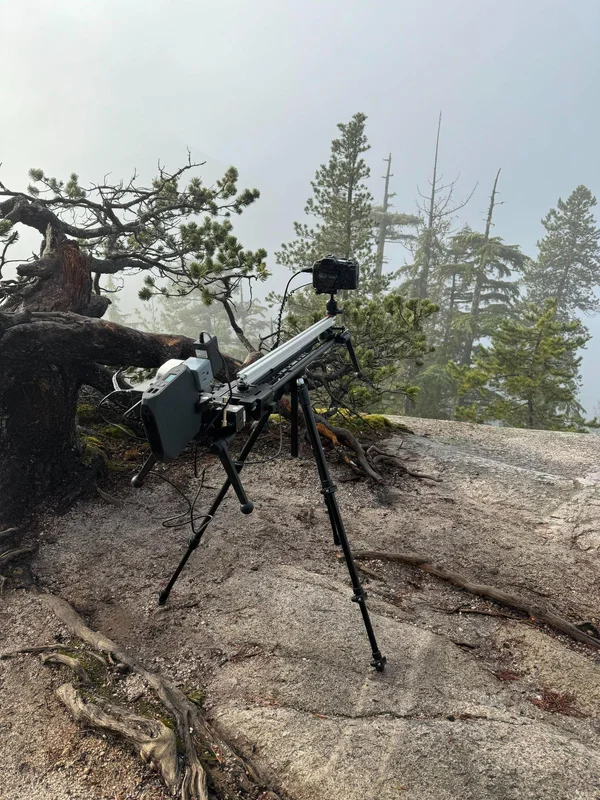 Camera on a slider in a misty forest.
