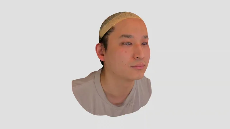 Rendered human head reconstructed for spatial-media demonstrations.